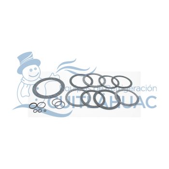 202115 GASKET KIT PARKER A-415A 2 1/2